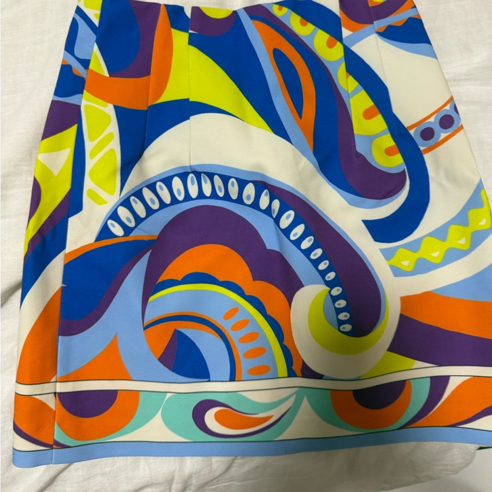 Zara Multicolor Abstract Skirt